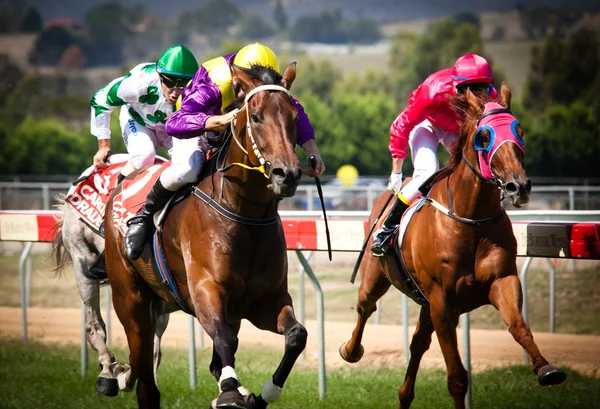 Melbourne - 21 Şubat: Sansasyonel haber hattına basmış