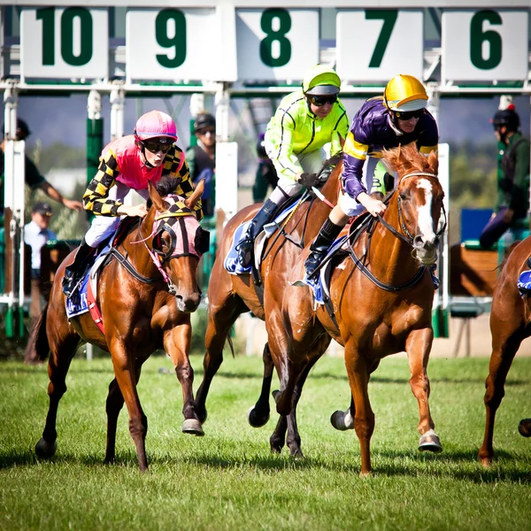Melbourne - 21 Şubat: Atlar De Bortoli P başında