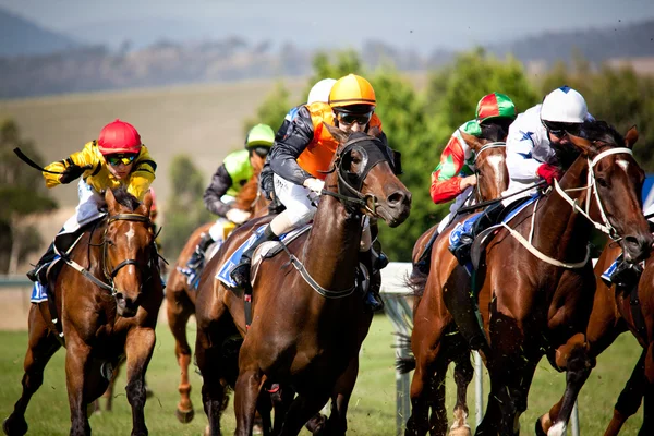 Melbourne - 21 Şubat: Atlar girin düz De Bor