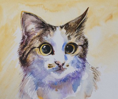 Şirin kedi..