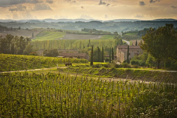 Toscana — Stockfoto