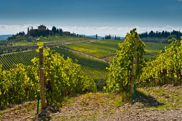 Vista panoramica sul paesaggio panoramico toscano — Foto Stock