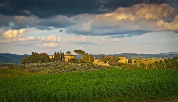 Panoramisch uitzicht van het schilderachtige landschap van Toscane — Stockfoto