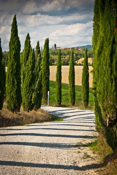 Paesaggio con vicolo di cipressi — Foto Stock