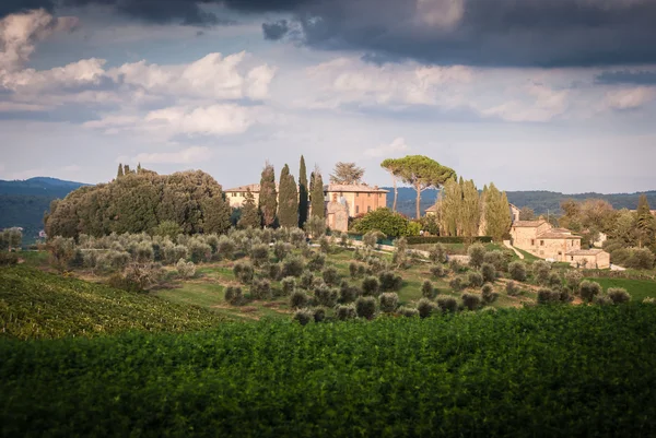 Toscana — Foto de Stock