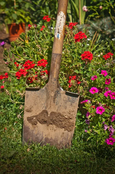 Shovel — Stock Photo, Image