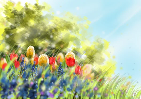 Spring — Stock Photo, Image