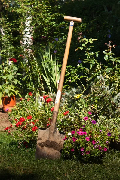 Садовая лопата — стоковое фото