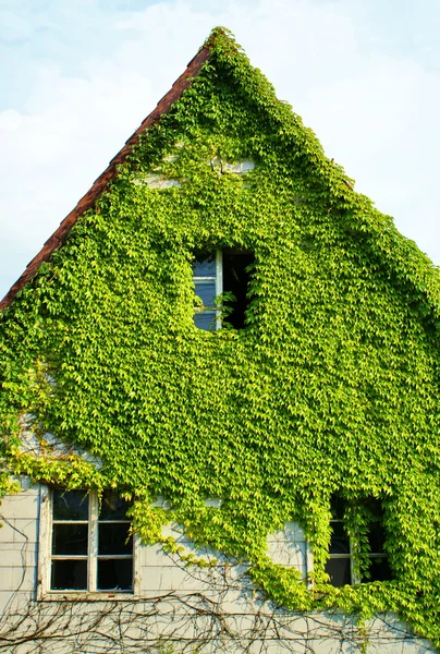 Window — Stock Photo, Image