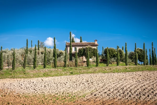 Toscana landskap med gård — Stockfoto