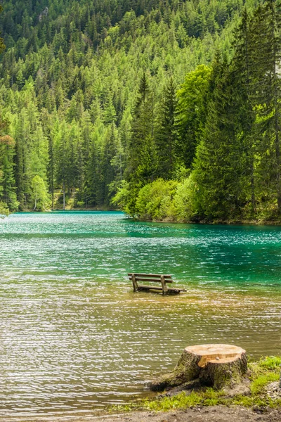 Gruener görmek — Stok fotoğraf