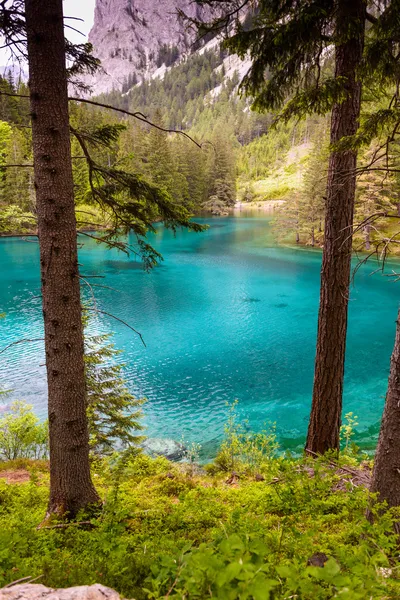 Grüner See — Stockfoto