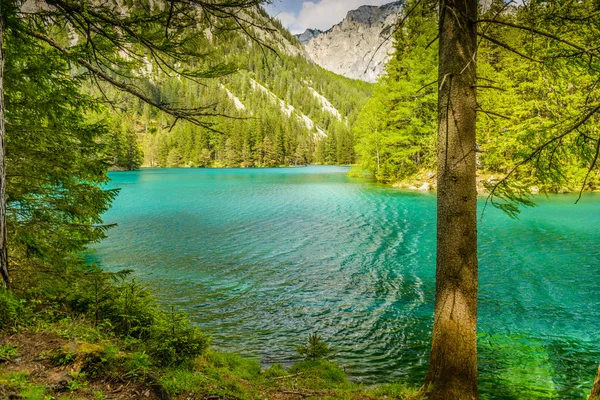 Gruener See — Stock Photo, Image