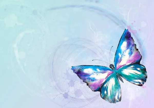 Butterfly — Stock Photo, Image