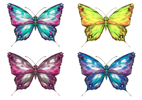 Conjunto de borboletas — Fotografia de Stock
