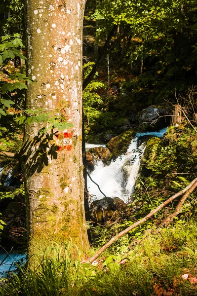 Trail sign — Stock Photo, Image