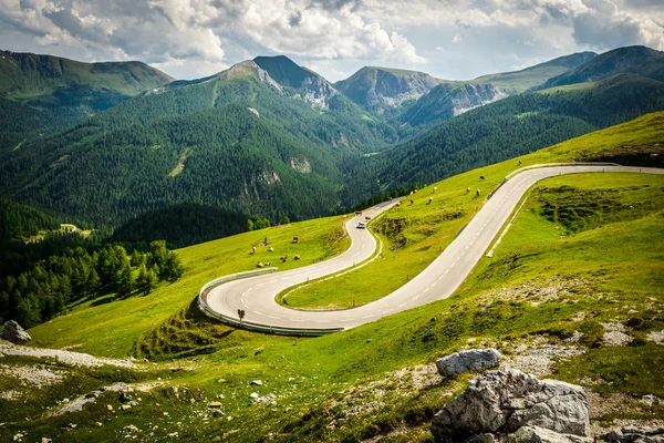 Alpina road — Stock Photo, Image