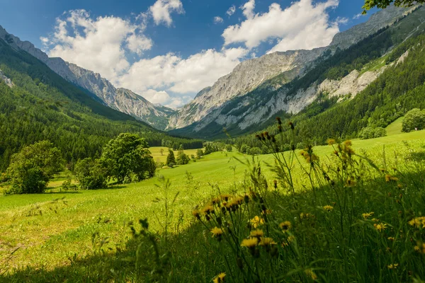 Landskap — Stockfoto