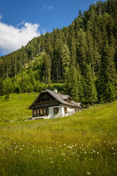 Casa alpina —  Fotos de Stock