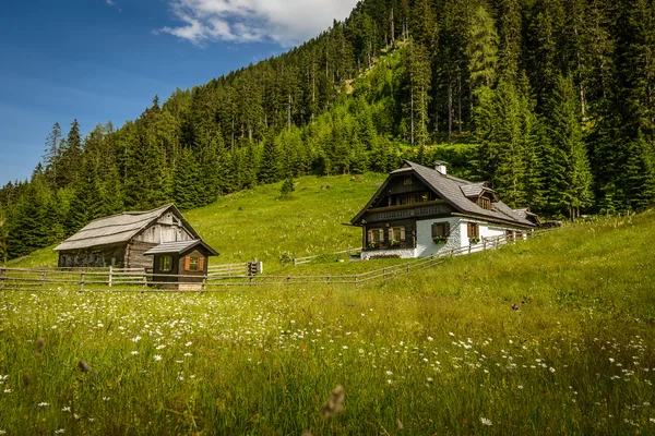 Casa alpina — Fotografia de Stock