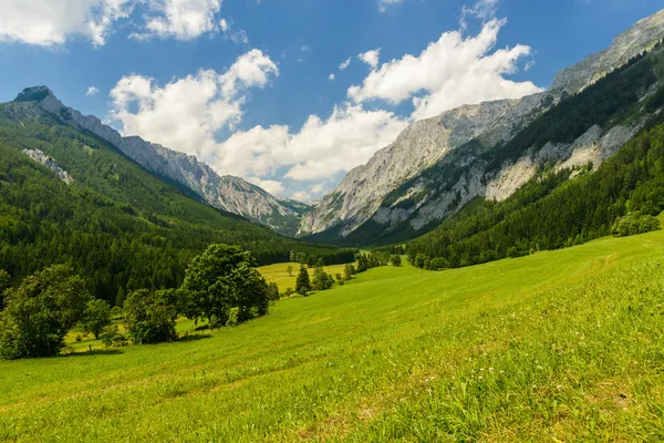 Landskap — Stockfoto