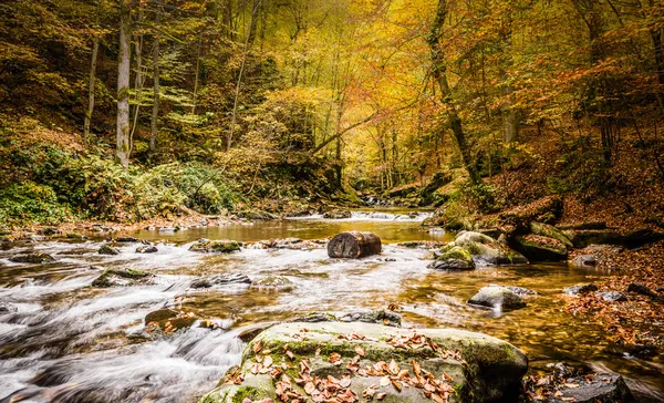 Řeka — Stock fotografie