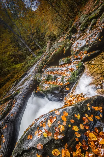 Řeka — Stock fotografie