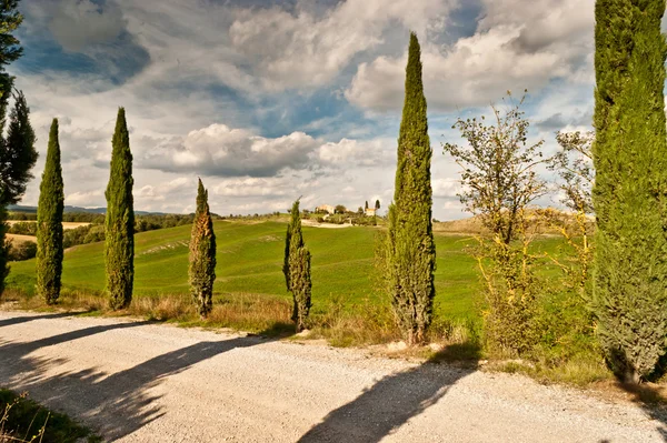 Вид на живописный пейзаж Тосканы — стоковое фото