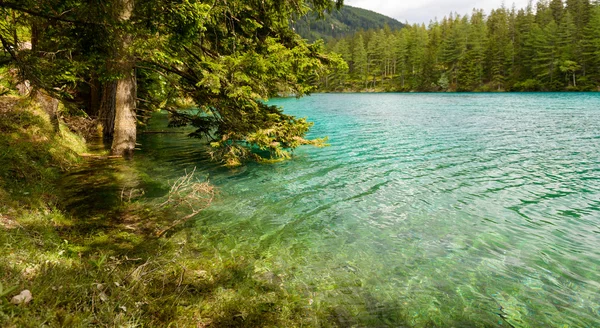 Lago — Fotografia de Stock