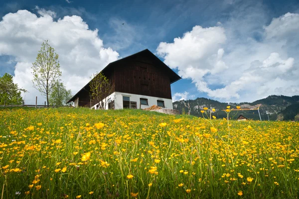 Casa — Fotografia de Stock