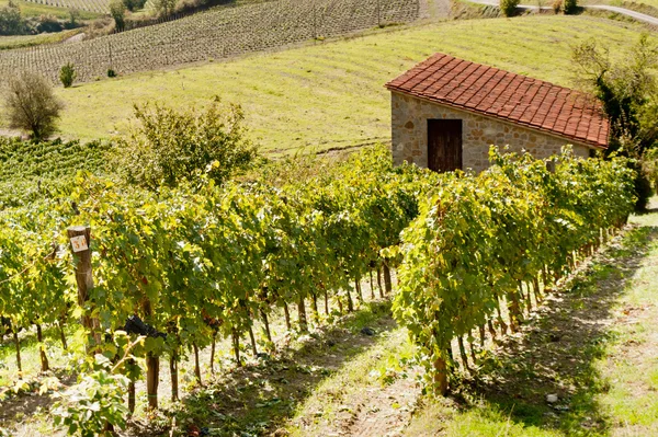 Tuscany — Stock Photo, Image