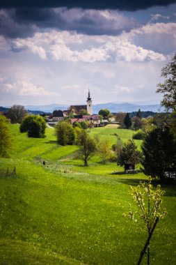 manzara