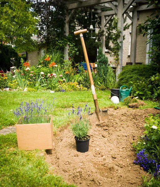 Garden — Stock Photo, Image