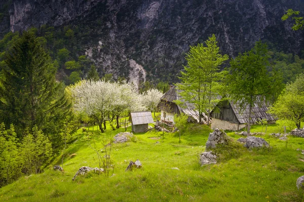 Dorf — Stockfoto