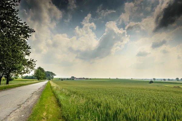 Landschap — Stockfoto