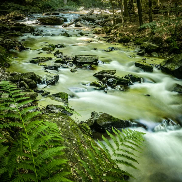 Řeka — Stock fotografie