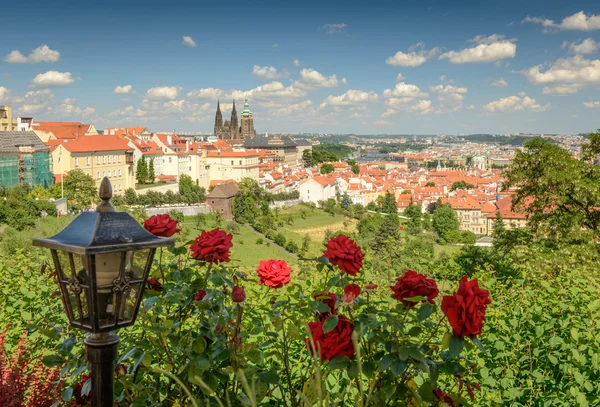 PRAHA — Stock fotografie