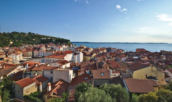 Slovenya 'nın eski Piran kasabasının panoramisi. Güneşli yaz gününde arka planda Piran ve Adriyatik Denizi 'nin kiremitli çatılarına bak.
