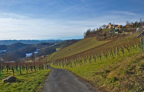 Sunny Spring Landscape South Styrian Vineyards Known Austrian Tuscany Charming — Zdjęcie stockowe