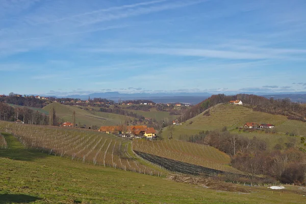 Sunny Spring Landscape South Styrian Vineyards Known Austrian Tuscany Charming — Photo