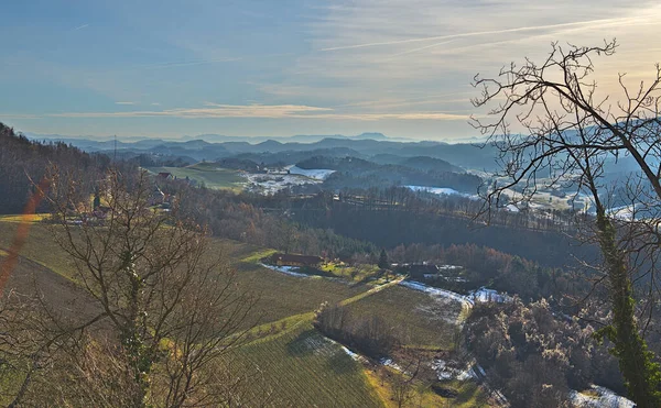 Sunny Spring Landscape South Styrian Vineyards Known Austrian Tuscany Charming — Foto Stock