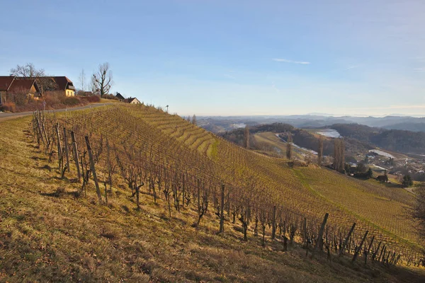 Sunny Spring Landscape South Styrian Vineyards Known Austrian Tuscany Charming — Foto de Stock