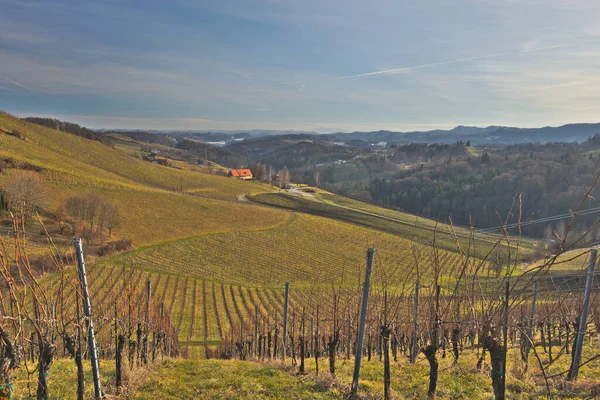 Sunny Spring Landscape South Styrian Vineyards Known Austrian Tuscany Charming — Fotografia de Stock