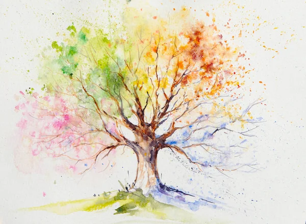 Illustrazione Dipinta Mano Colorato Albero Quattro Stagioni Immagine Creata Con — Foto Stock