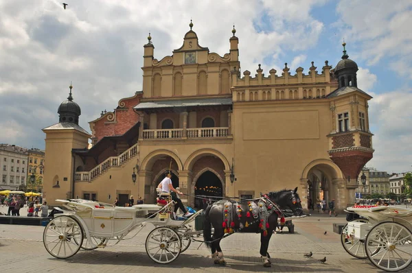 ポーランド クラクフ 2019年6月18日 旧馬車道の馬がメインマーケット広場にある布製のホール近くでスーチニスを作る — ストック写真