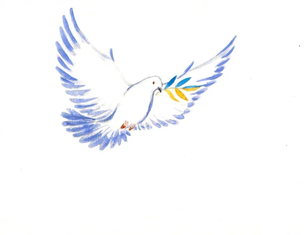 White dove with olive branch in yellow and blue - color of Ukraine flag. Symbol of peace Stop war campaign. Picture painted with watercolors on a paper. Copy space.