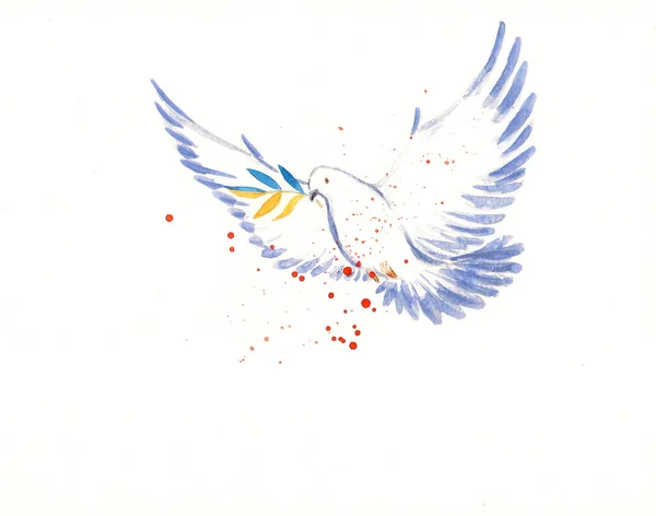 White dove with olive branch in yellow and blue - color of Ukraine flag. Symbol of peace Stop war campaign. Picture painted with watercolors on a paper. Copy space.