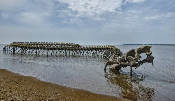 Giant Ocean Snake Sculpture Saint Brevin — Stockfoto