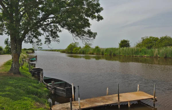 Briere Marsh Area Brittany France Grande Brire Has Been Nature —  Fotos de Stock