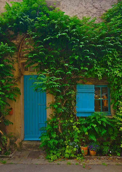 Blue Window Door Wall Covered Ivy Brittany France — Fotografie, imagine de stoc